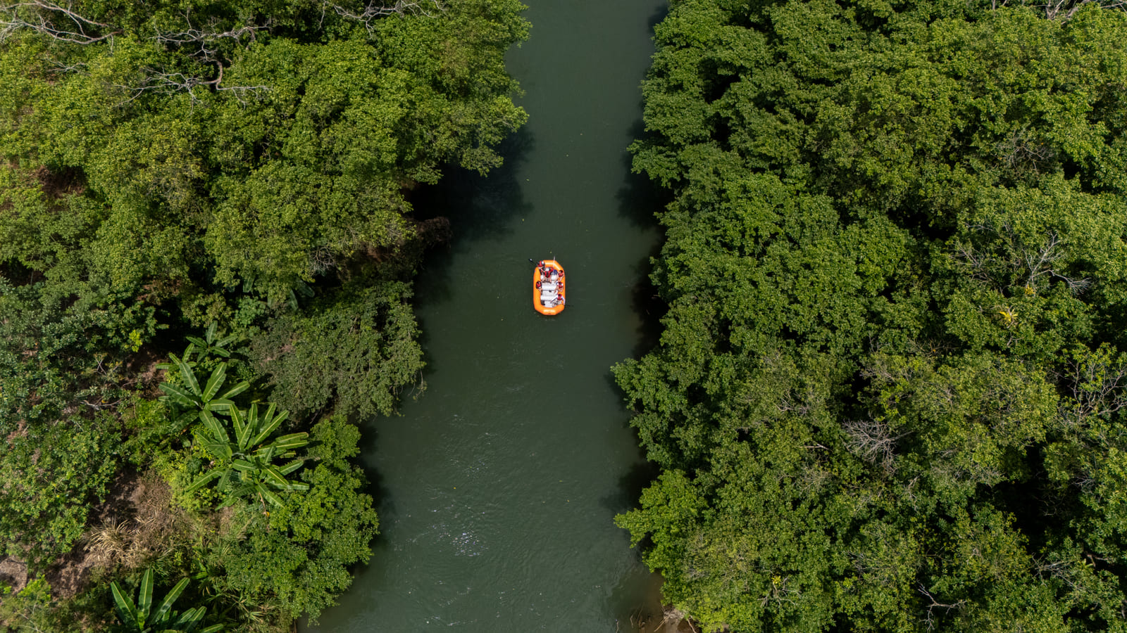 Vista aérea cenital del raft naranja centrado en el Río Peñas Blancas con palmera prominente enmarcando la esquina inferior