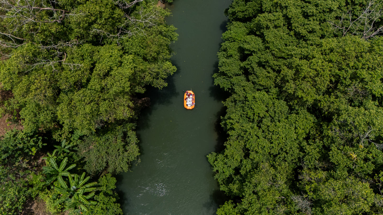 Vista aérea cenital del raft solo en un meandro amplio del Río Peñas Blancas con selva densa a ambas orillas