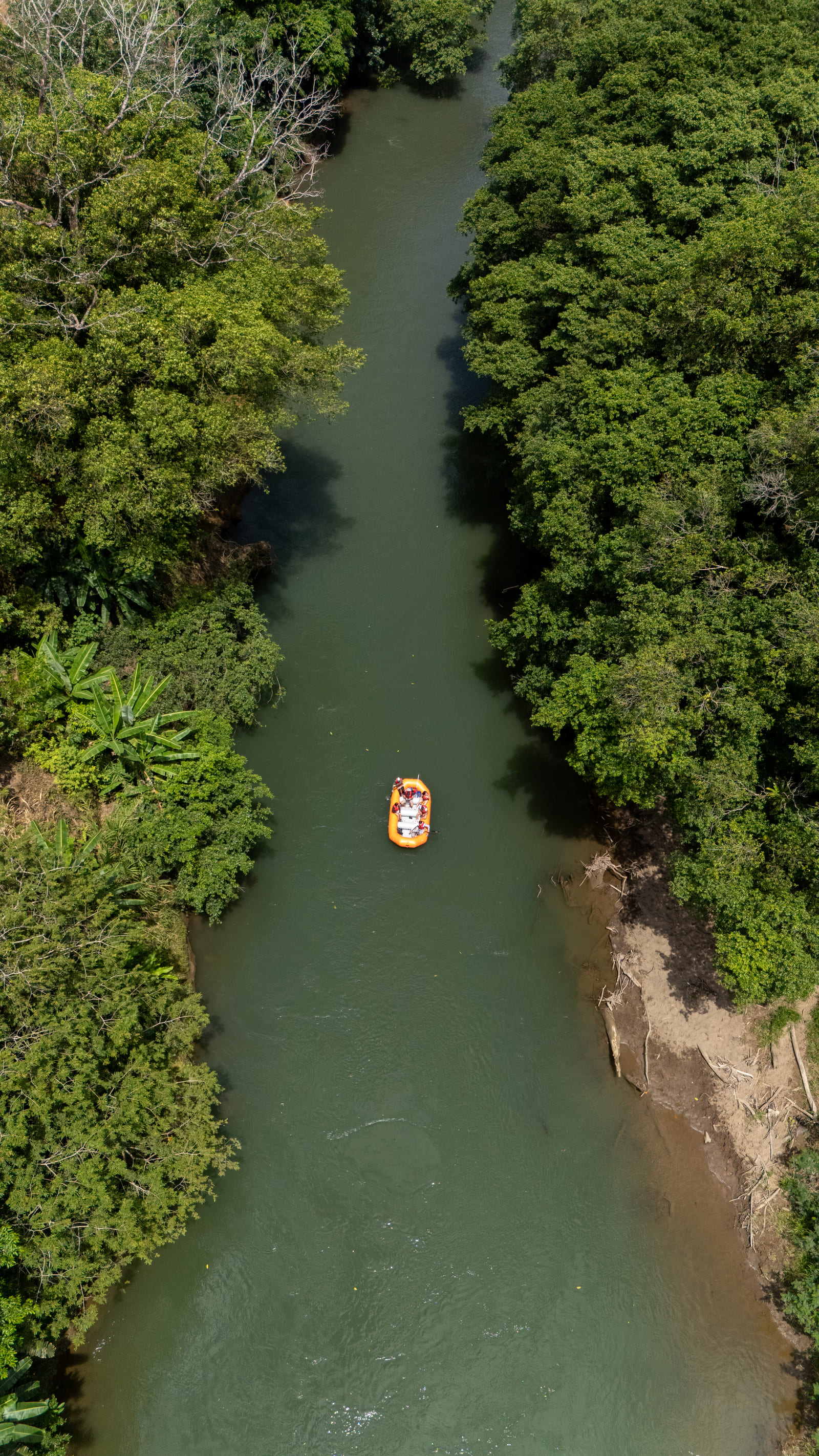 Vista aérea cenital vertical del Río Peñas Blancas serpenteando entre selva densa con el raft pequeño al centro